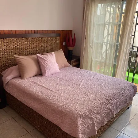 Casa Sandra ホームステイ El Matorral